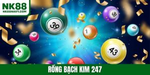 Rồng bạch kim 247 - Chốt số chuẩn mỗi ngày, nhận thưởng cao